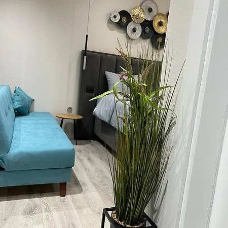Apartment Shkodra Studio Apartment Shkoder
